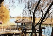 苏州太湖湖滨国家湿地公园8