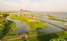 苏州太湖湖滨国家湿地公园2