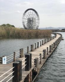 苏州太湖湖滨国家湿地公园10