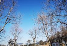 苏州太湖湖滨国家湿地公园9