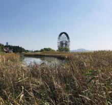 苏州太湖湖滨国家湿地公园13