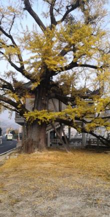 卧龙峡风景区2
