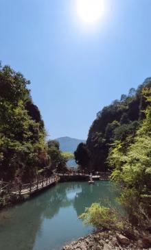 绝情谷5