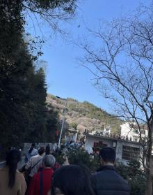 卖花渔村3