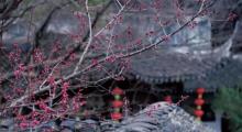 退思园16