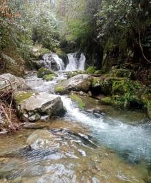 千岛湖红山谷景区29