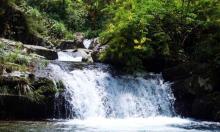 千岛湖红山谷景区10