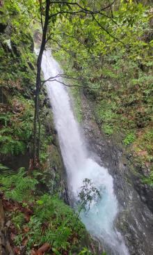 千岛湖红山谷景区20