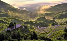 云和梯田景区九曲云环24