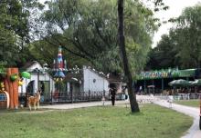 啬园15