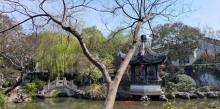严家花园17