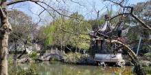 严家花园19