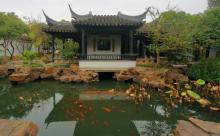 严家花园12
