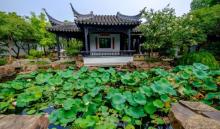严家花园10