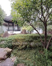 严家花园30