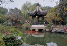 严家花园26