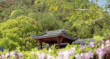丽水华东药用植物园6