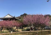 林屋洞30