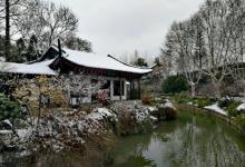 红梅公园4
