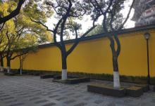 红梅公园9