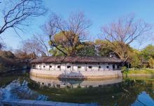 红梅公园26
