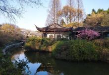 红梅公园8