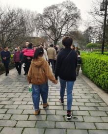 红梅公园17