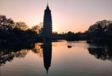 红梅公园5