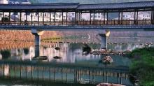下姜村22