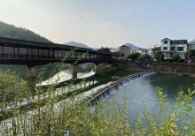 下姜村13