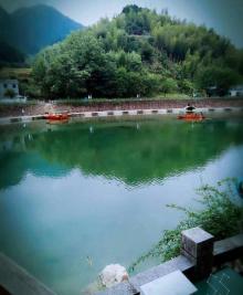 下姜村23