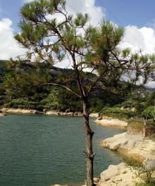 大罗山30