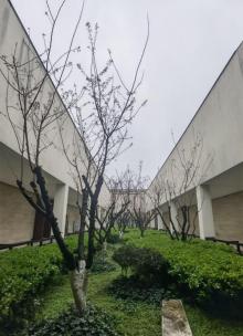 良渚博物院8