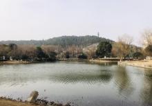 良渚博物院14