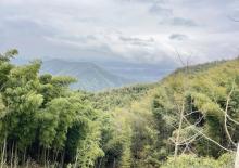 径山寺4