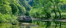 水墨汀溪风景区29
