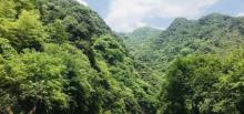 水墨汀溪风景区28