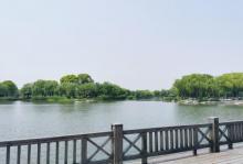 阳澄湖21