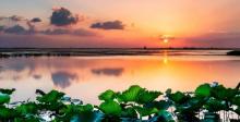 阳澄湖8