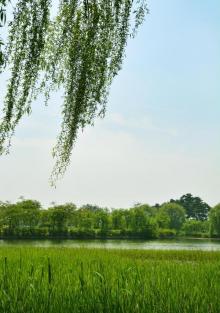 阳澄湖3