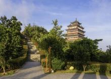 洞头村9
