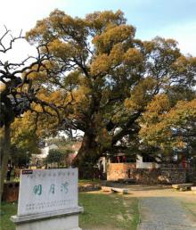 明月湾古村30
