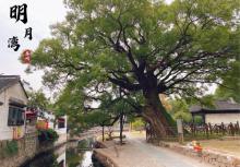明月湾古村18