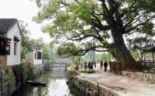 明月湾古村27