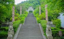 龙山岛5