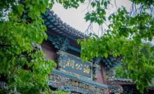 龙山岛4