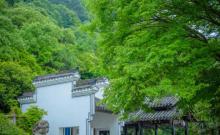 龙山岛6