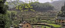 白银谷景区4