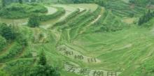 白银谷景区15