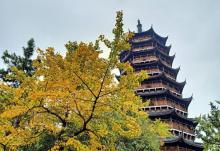 北塔报恩寺26